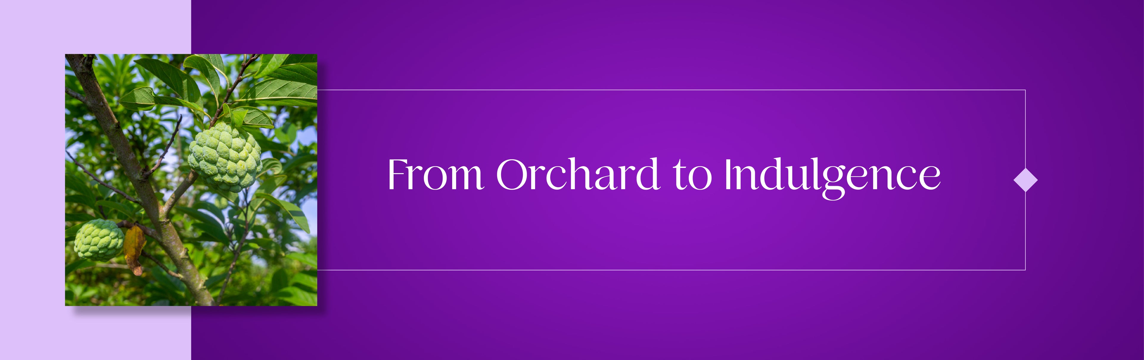 From Orchard to Indulgence